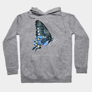 Watercolor Butterfly Hoodie